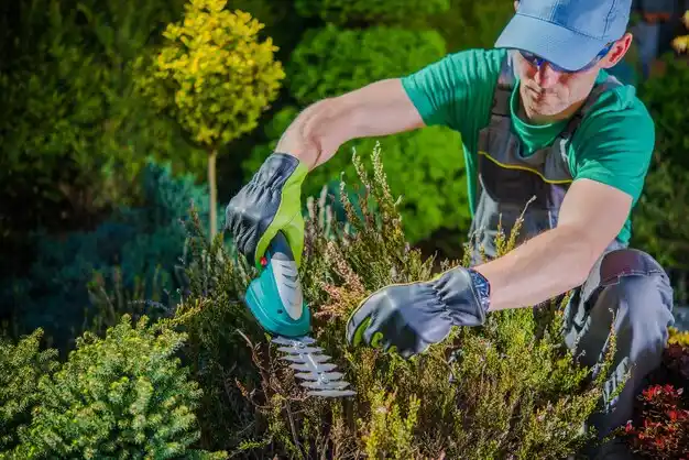 landscaping services Garrettsville